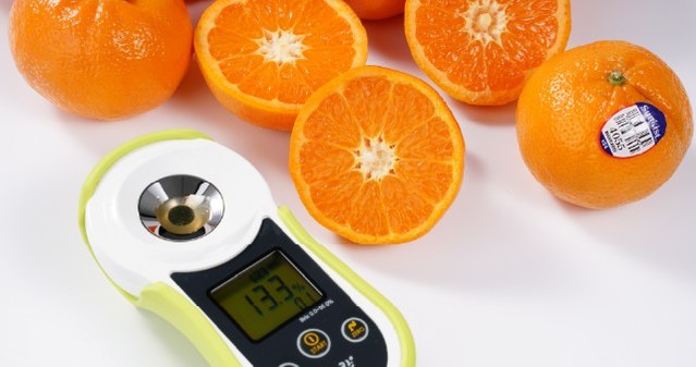 캘리포니아 만다린 오렌지 2kg