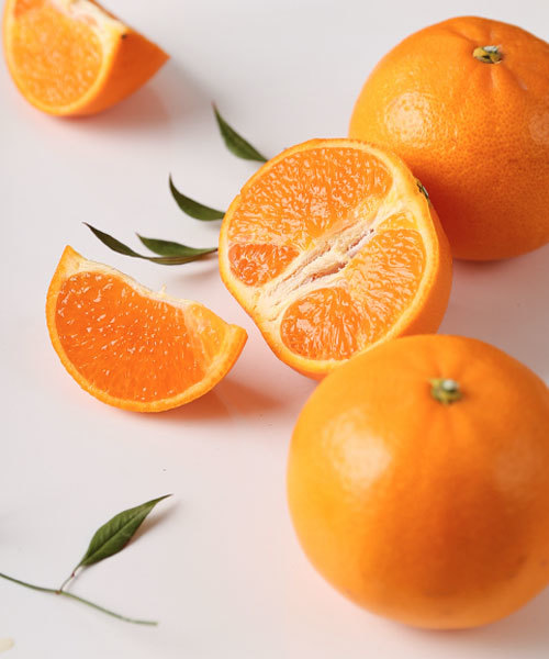 당도선별 고당도 천혜향 4kg(23과내)+비닐팩