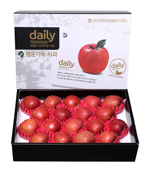 경북 데일리 사과세트 5kg(19과내)