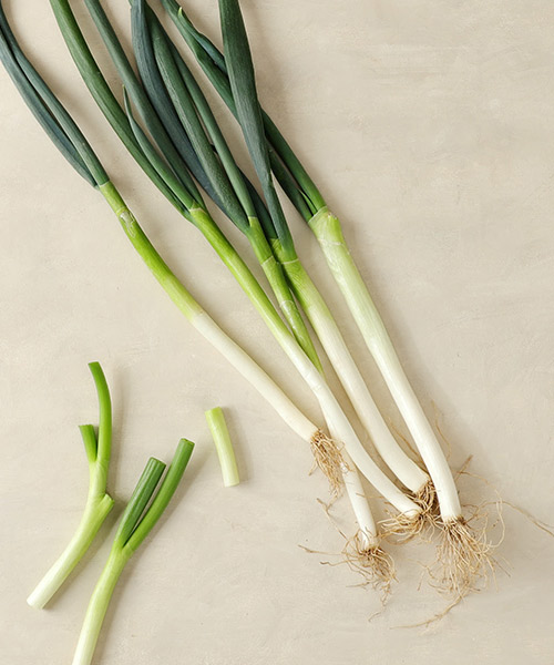 친환경 대파 300g 친환경 대파 300g