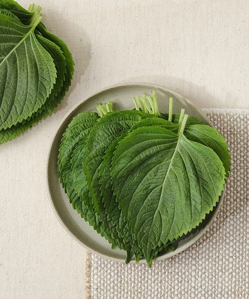 친환경 깻잎 30g 친환경 깻잎 30g