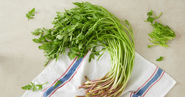 무농약 팔공산 미나리 1.6kg