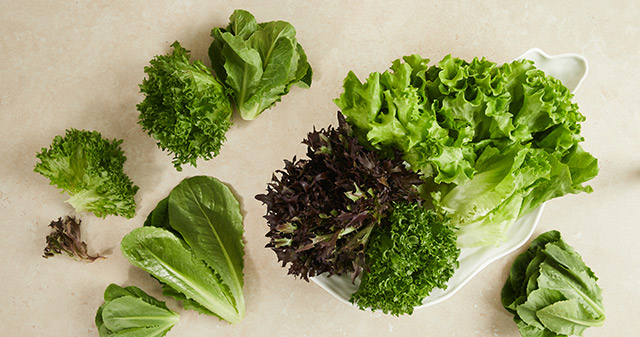 괴산 친환경 유러피언 샐러드 채소(1kg)