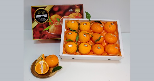 당도선별 프리미엄 한라봉&레드향 하프셋 2.5kg(13과내)_비닐팩