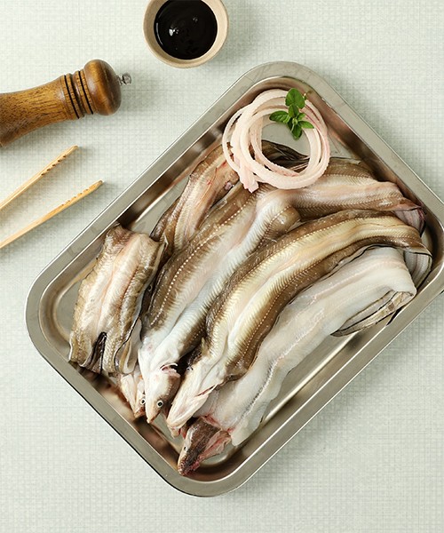통영 바다 장어 1kg(3-5미내외/손질후 720g내외)