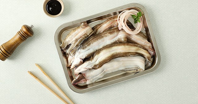 통영 바다 장어 1kg(3-5미내외/손질후 720g내외)