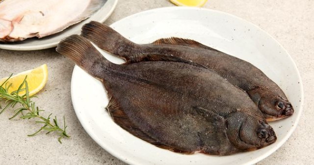 통영 도다리 1kg[손질 후 800g내외(2~4미)(냉동)]