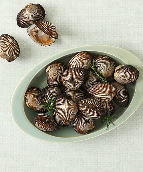 통영 피조개(피꼬막) 1kg