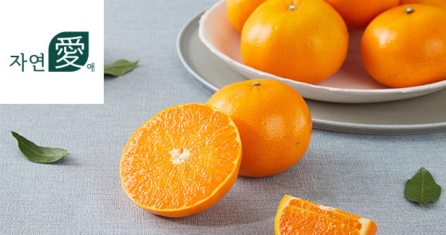 [자연애] 고당도 제주 남원 천혜향 2.5kg(11과내/선물용)