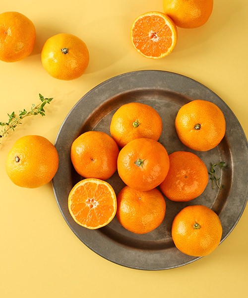 비파괴 당도선별 타이벡감귤 2종(로얄과/13brix이상)