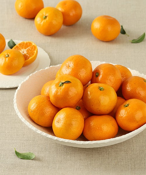 [자연애] 당도보장 최고당도 제주감귤 2종(로얄과/15brix이상)