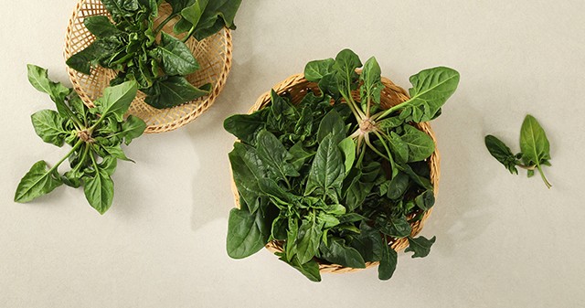 [세척] 남해 보물초(시금치) 1kg