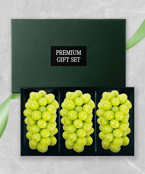 시그니처 샤인머스켓 선물세트 2kg(3수)