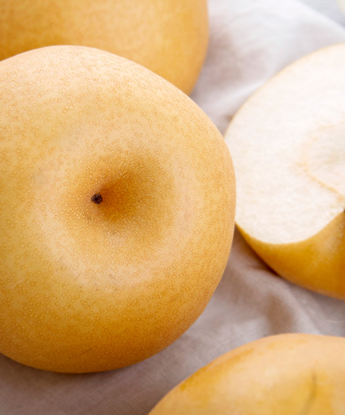 명품 나주배세트 5kg(7과내)