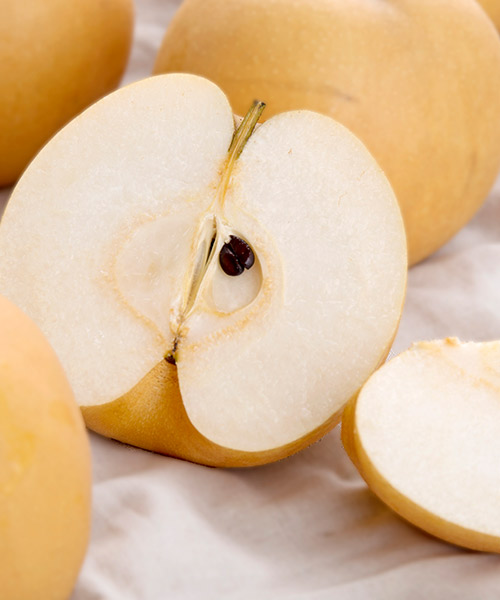 명품 나주배세트 5kg(10과내)