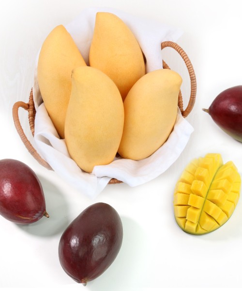 신선망고 혼합 실속세트 3.2kg(8과)