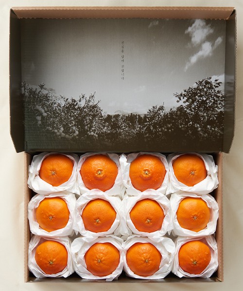 올바른 레드향 특별한 선물세트 5kg내외(20과내)