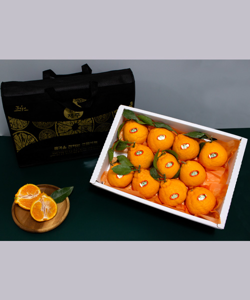 당도선별 프리미엄 한라봉 선물세트+부직포백